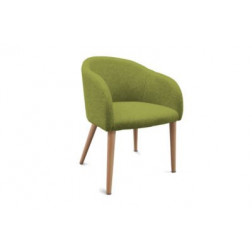 FAUTEUIL ADRIA VERT PIEDS BOIS