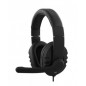 TNB MICRO CASQUE MULTIMEDIA HS300