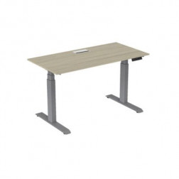 ACTIV'O 160X80 TOP ACCESS CHENE GRIS