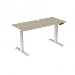 ACTIV'O 180X80 TOP ACCESS CHENE BLANC