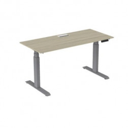 ACTIV'O 180X80 TOP ACCESS CHENE GRIS