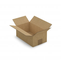 Caisse carton brune simple cannelure RAJA 16x12x11 cm