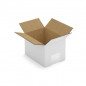 Caisse carton blanche simple cannelure RAJA 16x12x11 cm