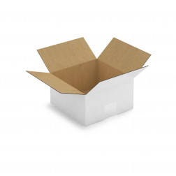 Caisse carton blanche simple cannelure RAJA 16x12x11 cm