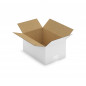 Caisse carton blanche simple cannelure RAJA 16x12x11 cm