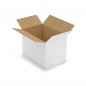 Caisse carton blanche simple cannelure RAJA 16x12x11 cm