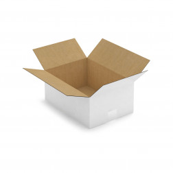 Caisse carton blanche simple cannelure RAJA 16x12x11 cm