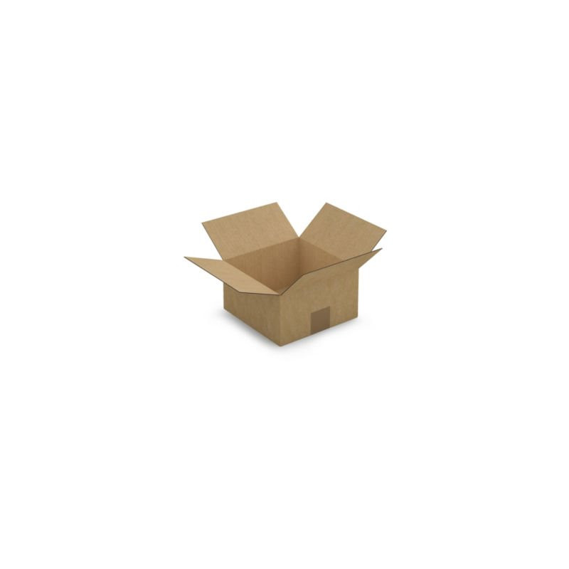 Caisse carton brune simple cannelure RAJA 20x20x11 cm