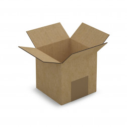 Caisse carton brune simple cannelure RAJA 20x20x11 cm