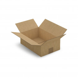 Caisse carton brune simple cannelure RAJA 20x20x11 cm