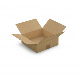 Caisse carton brune simple cannelure RAJA 20x20x11 cm