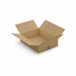 Caisse carton brune simple cannelure RAJA 20x20x11 cm