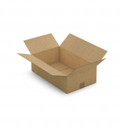 Caisse carton brune simple cannelure RAJA 20x20x11 cm