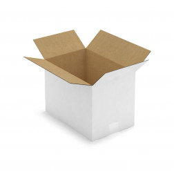 Caisse carton blanche simple cannelure RAJA 20x20x11 cm