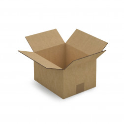 Caisse carton brune double cannelure RAJA 35x35x35 cm