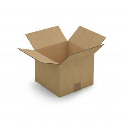 Caisse carton brune double cannelure RAJA 35x35x35 cm