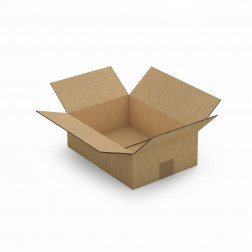 Caisse carton brune double cannelure RAJA 35x35x35 cm