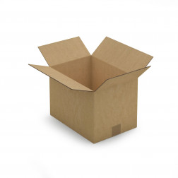 Caisse carton brune double cannelure RAJA 35x35x35 cm