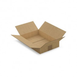 Caisse carton brune simple cannelure RAJA 31x21,5x5,5 cm