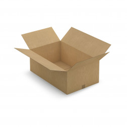 Caisse carton brune simple cannelure RAJA 31x21,5x5,5 cm