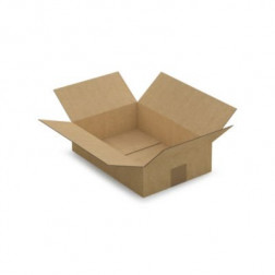 Caisse carton brune simple cannelure RAJA 31x21,5x8 cm