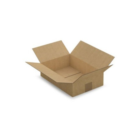 Caisse carton brune simple cannelure RAJA 31x21,5x8 cm