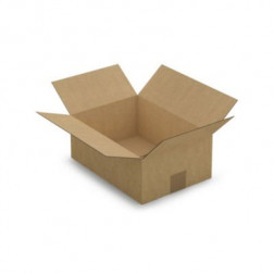 Caisse carton brune simple cannelure RAJA 31x22x12 cm