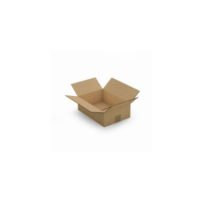 Caisse carton brune double cannelure RAJA 31x22x10 cm