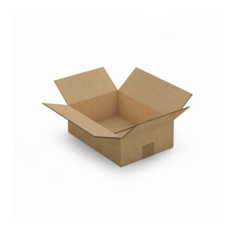 Caisse carton brune double cannelure RAJA 31x22x10 cm