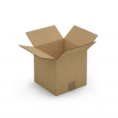 Caisse carton brune double cannelure RAJA 31x22x10 cm