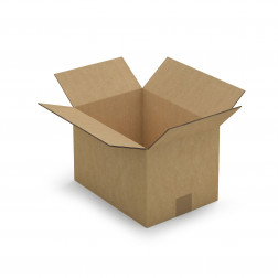 Caisse carton brune double cannelure RAJA 31x22x10 cm