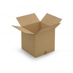 Caisse carton brune double cannelure RAJA 31x22x10 cm