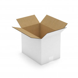 Caisse carton brune double cannelure RAJA 31x22x10 cm