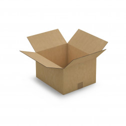 Caisse carton brune double cannelure RAJA 31x22x10 cm