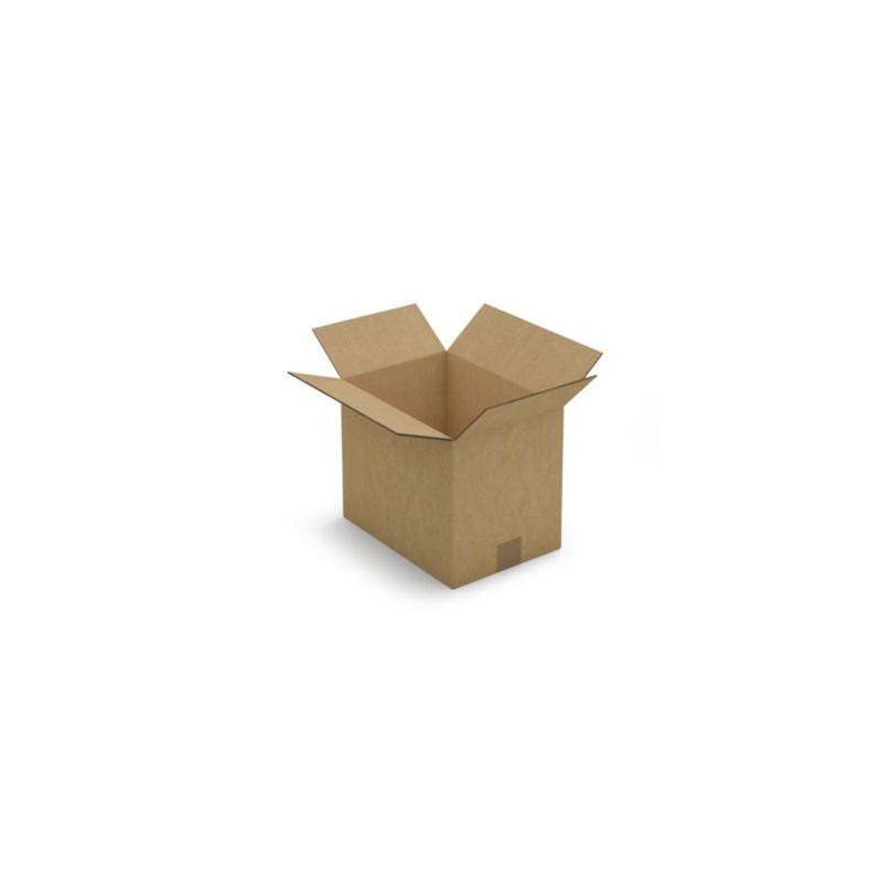 Caisse carton brune double cannelure RAJA 31x22x25 cm