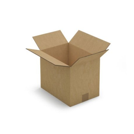 Caisse carton brune double cannelure RAJA 31x22x25 cm