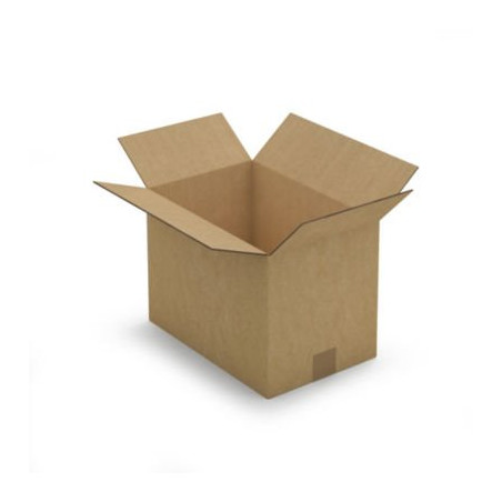 Caisse carton brune double cannelure RAJA 35x23x18 cm