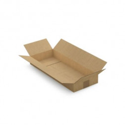 Caisse carton brune simple cannelure RAJA 50x20x6 cm