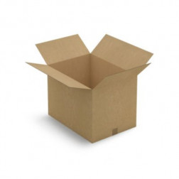 Caisse carton brune simple cannelure RAJA 55x40x40 cm