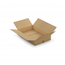 Caisse carton brune double cannelure RAJA 50x30x20 cm