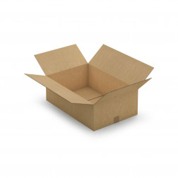 Caisse carton brune double cannelure RAJA 50x30x20 cm