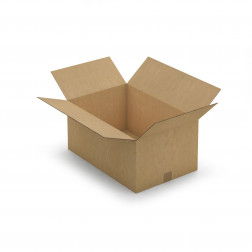 Caisse carton brune double cannelure RAJA 50x30x20 cm