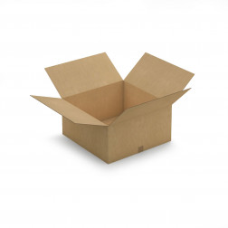 Caisse carton brune double cannelure RAJA 50x30x20 cm