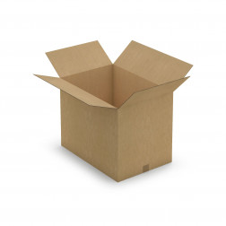 Caisse carton brune double cannelure RAJA 50x30x20 cm