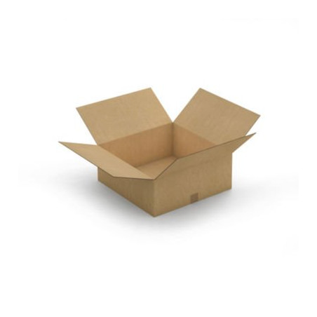 Caisse carton brune double cannelure RAJA 50x50x20 cm