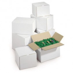 Caisse carton blanche double cannelure RAJA 55x35x30 cm