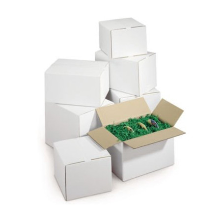 Caisse carton blanche double cannelure RAJA 55x35x30 cm