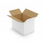 Caisse carton blanche double cannelure RAJA 55x35x30 cm