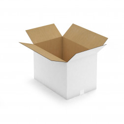 Caisse carton blanche double cannelure RAJA 55x35x30 cm