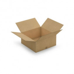 Caisse carton brune double cannelure RAJA 55x55x25 cm